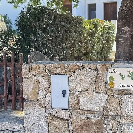 Ananas *